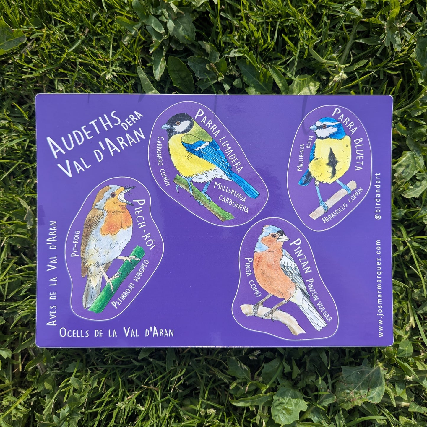 Audèths dera Val d'Aran - Stickers 1 / Aves de la Val d'Aran – Stickers 1 / Birds of the Val d'Aran – Sticker 1