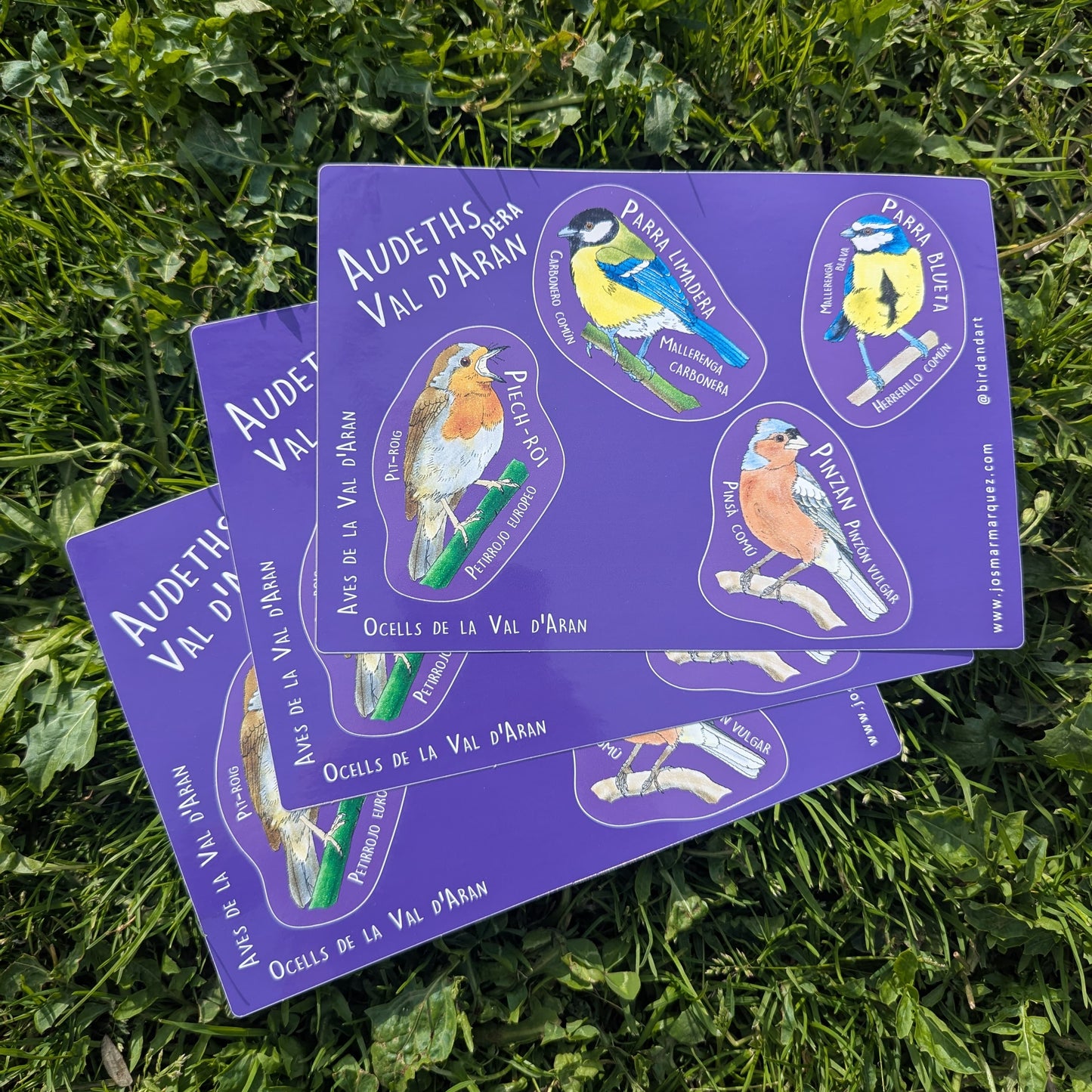 Audèths dera Val d'Aran - Stickers 1 / Aves de la Val d'Aran – Stickers 1 / Birds of the Val d'Aran – Sticker 1