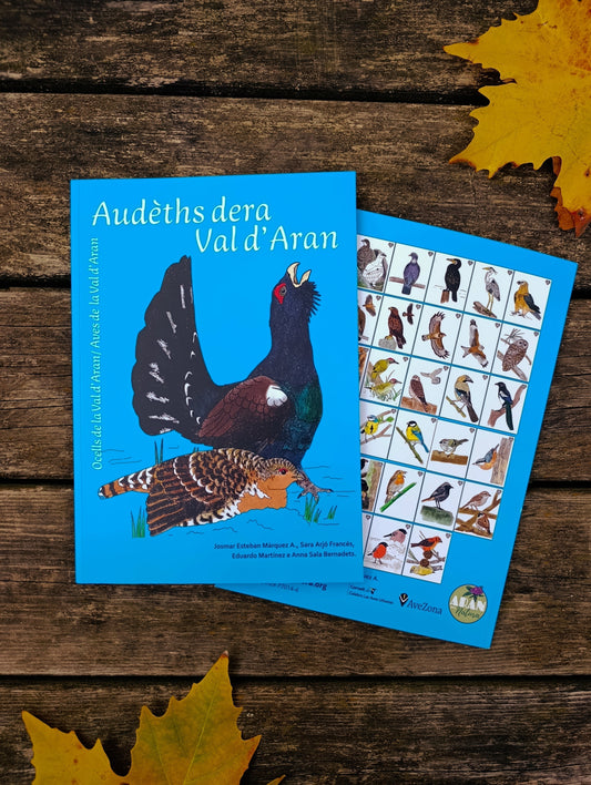 AUDÈTHS DERA VAL D’ARAN: un viaje ilustrado por las aves, las lenguas y la naturaleza del Pirineo