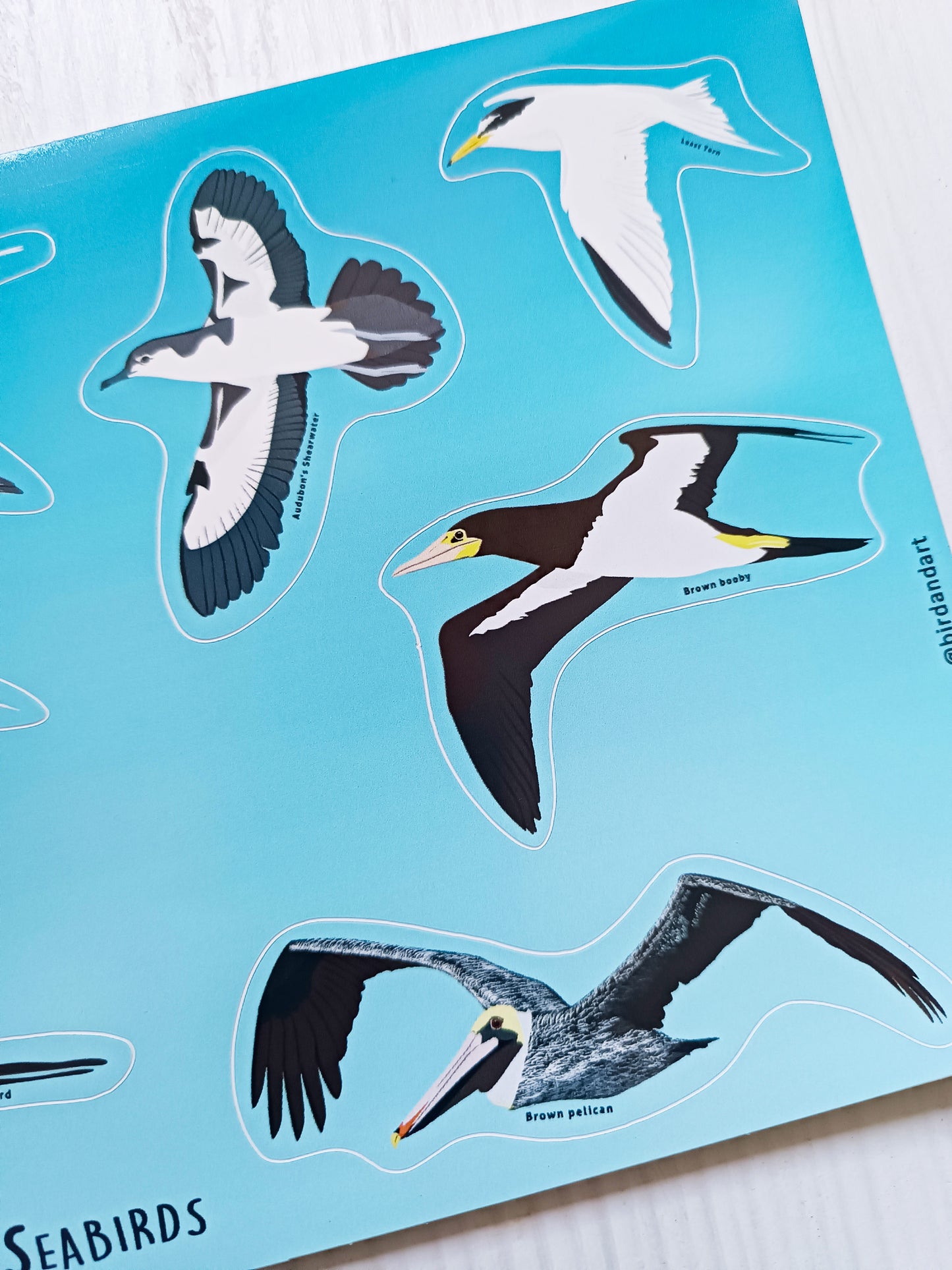 2 X Sticker sheet Caribbean Seabird