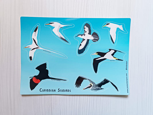 2 X Sticker sheet Caribbean Seabird