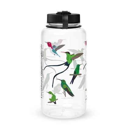 Caribbean Hummingbird-Wide mouth plastic water bottle