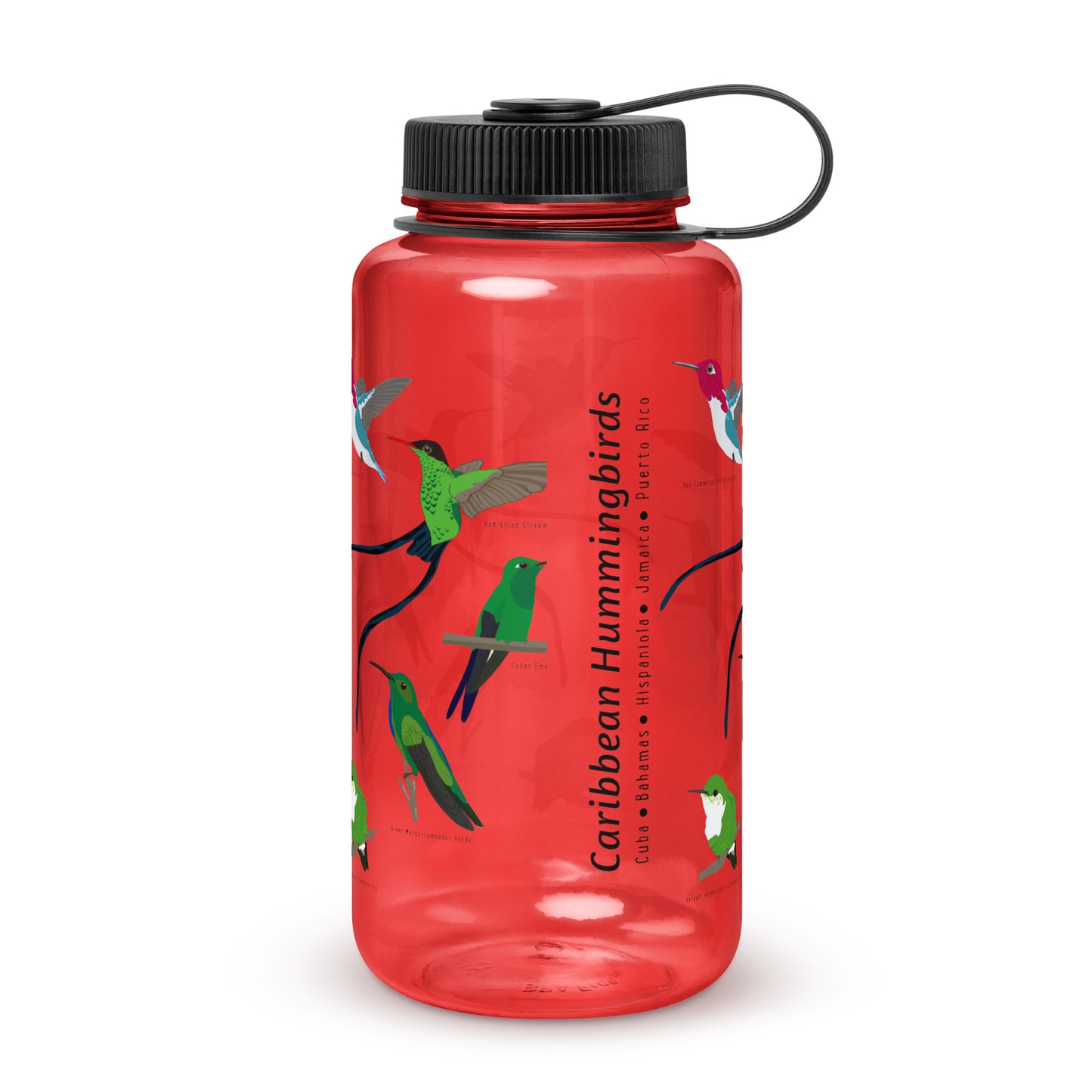 Caribbean Hummingbird-Wide mouth plastic water bottle