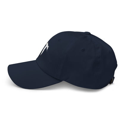 Least Tern Dad hat