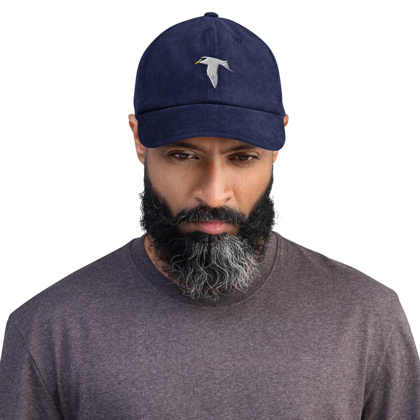 Least Tern / Corduroy hat
