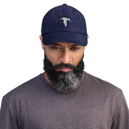 Least Tern / Corduroy hat