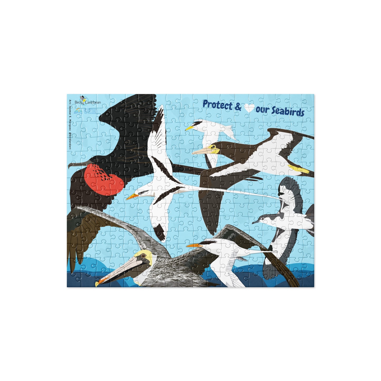 Protect & Love our Seabirds Jigsaw puzzle