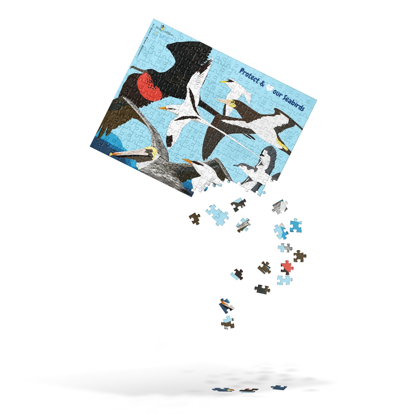 Protect & Love our Seabirds Jigsaw puzzle