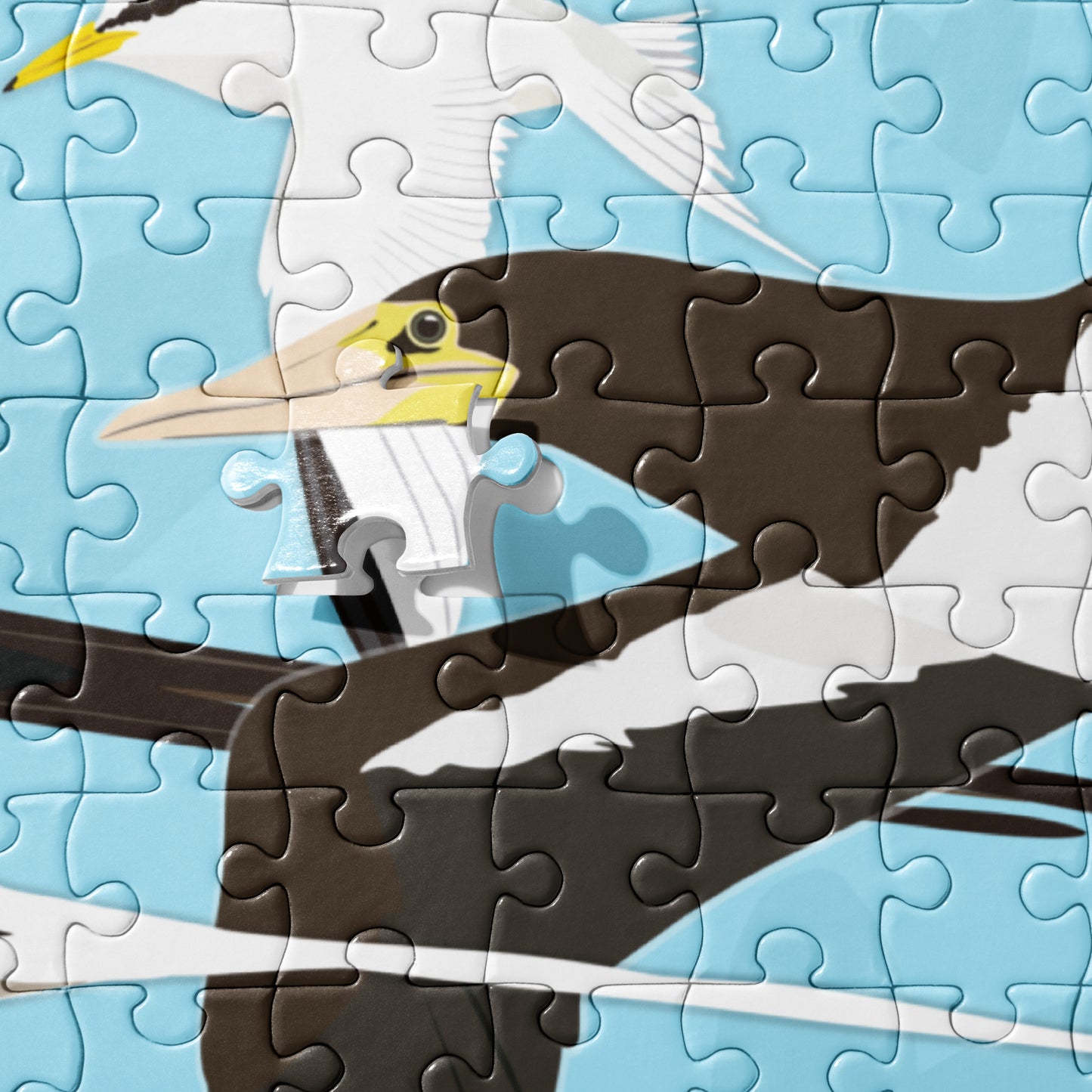 Protect & Love our Seabirds Jigsaw puzzle